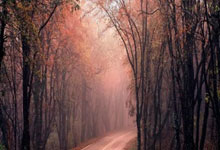 股票投资入门技巧:配资门户网站都有什么-金银缘何“大爆发”？一文读懂：来看看“雪崩”的全球债市吧！