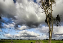 短线炒股怎么选择股票的:股票如何手机交易-【今日投资机会】关注北交所的抱团机会