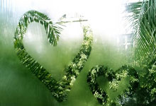 用手机怎么看股票:买股票的app排行榜-1期临床试验结果表明：癌症疫苗可延长患者无复发生存期